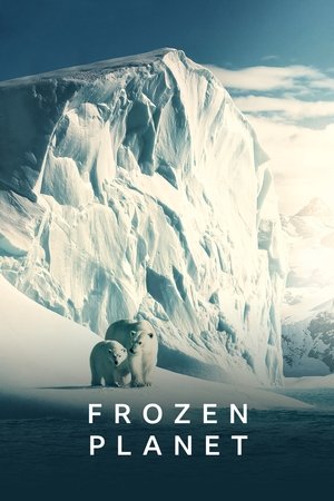 Watch Free Frozen Planet (20112012)