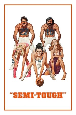 Watch Free SemiTough (1977)