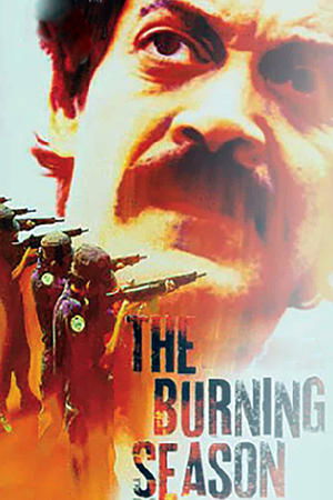 Watch Free The Burning Season The Chico Mendes Story (1994)