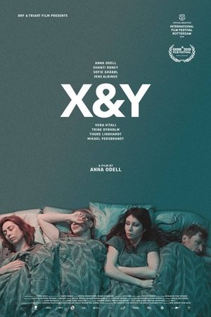 Watch Free X&Y (2018)