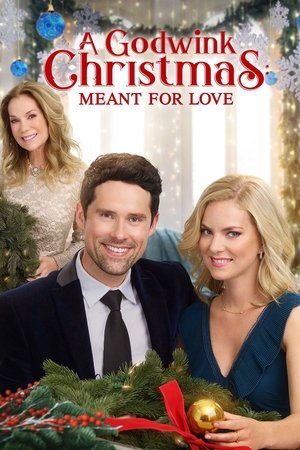 Watch Free A Godwink Christmas: Meant for Love (2019)