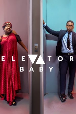 Watch Free Elevator Baby (2019)