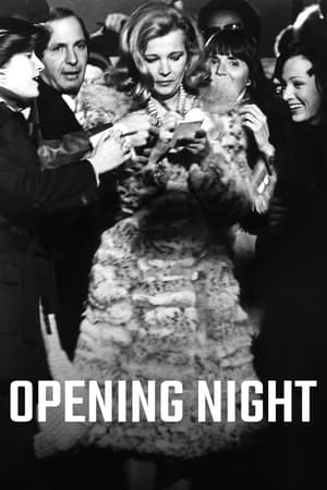 Watch Free Opening Night (1977)