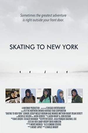 Watch Free Skating to New York (2013)