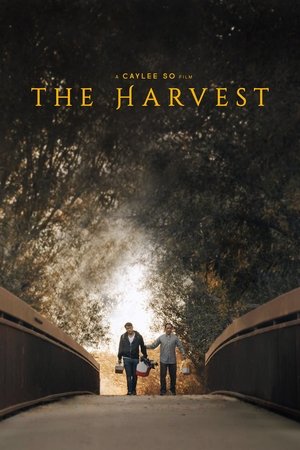 Watch Free The Harvest (2015)