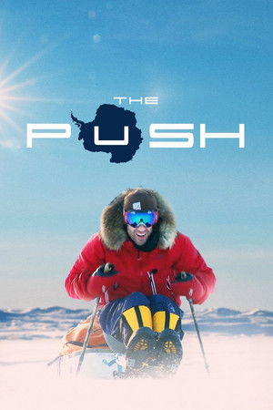 Watch Free The PUSH: Owning your reality is where the journey begins (2018)