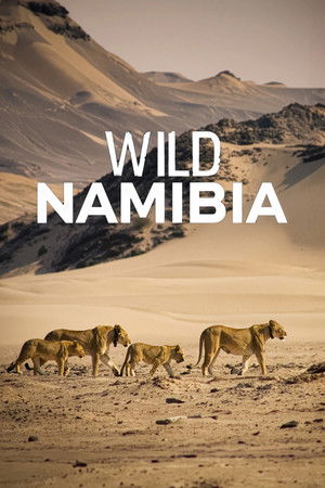 Watch Free Wild Namibia (2014)