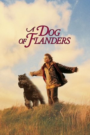 Watch Free A Dog of Flanders (1999)