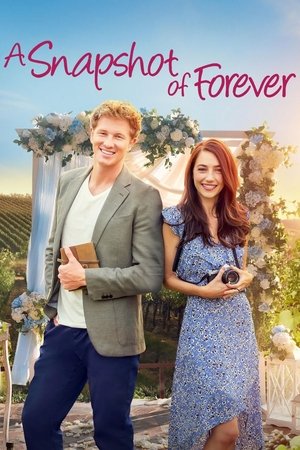 Watch Free A Snapshot of Forever (2022)