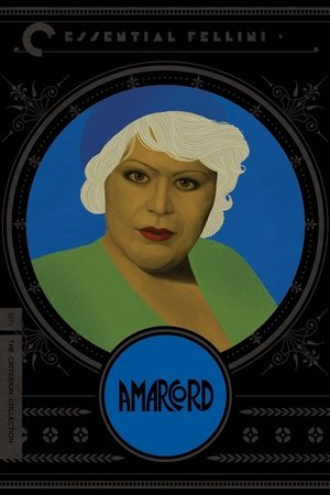 Watch Free Amarcord (1973)