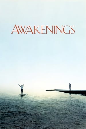 Watch Free Awakenings (1990)
