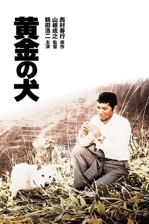 Watch Free Dog of Fortune (1979)