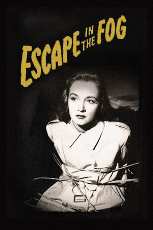 Watch Free Escape in the Fog (1945)
