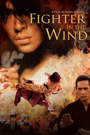 Watch Free Fighter in the Wind (2004)