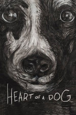Watch Free Heart of a Dog (2015)