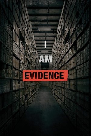 Watch Free I Am Evidence (2017)