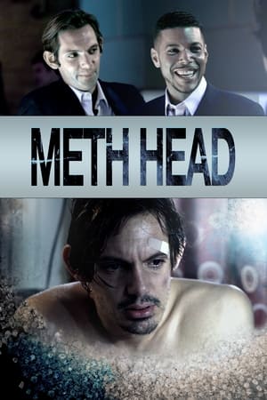 Watch Free Meth Head (2013)