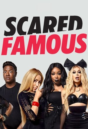 Watch Free Scared Famous (2017)