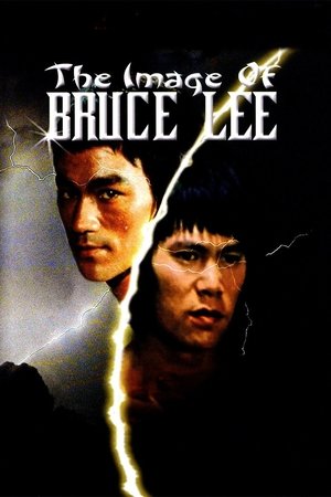Watch Free Image of Bruce Lee (1978)