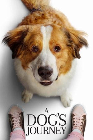 Watch Free A Dogs Journey (2019)