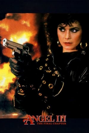 Watch Free Angel III: The Final Chapter (1988)