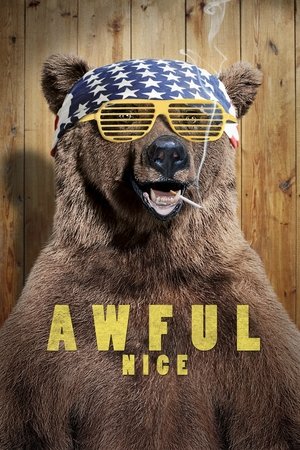 Watch Free Awful Nice (2013)