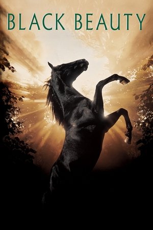 Watch Free Black Beauty (1994)