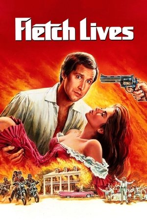 Watch Free Fletch Lives (1989)