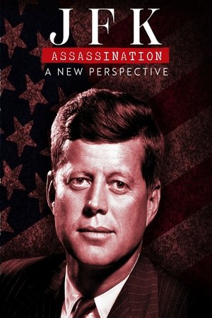 Watch Free JFK Assassination A New Perspective (2025)