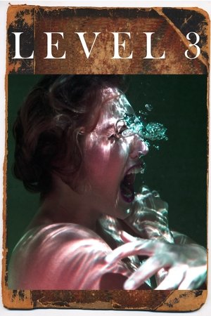 Watch Free Level 3 (2020)