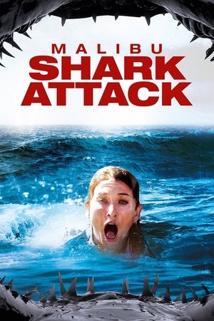 Watch Free Malibu Shark Attack 2009