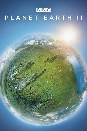 Watch Free Planet Earth II