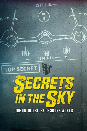 Watch Free Secrets in the Sky: The Untold Story of Skunk Works (2019)
