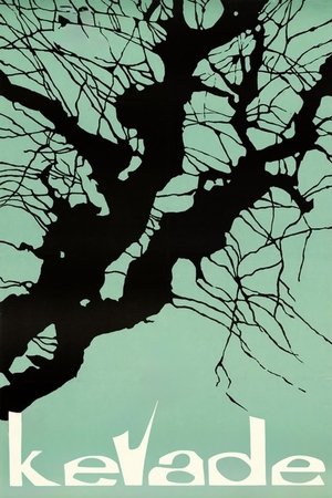 Watch Free Spring (1969)