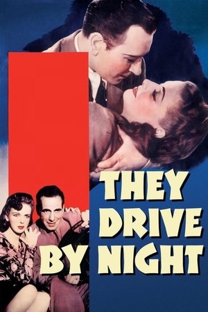 Watch Free They Drive by Night (1940)