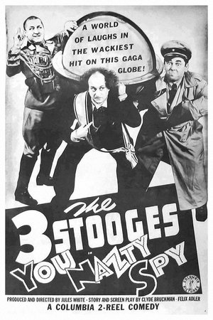 Watch Free You Nazty Spy (1940)