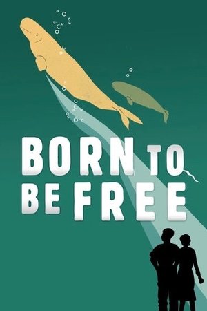 Watch Free Born to Be Free (2016)