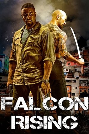 Watch Free Falcon Rising (2013)