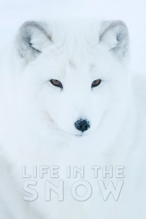 Watch Free Life in the Snow (2016)