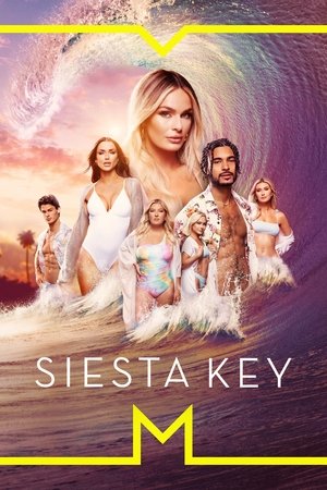 Watch Free Siesta Key (2017 )