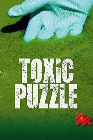 Watch Free Toxic Puzzle (2017)