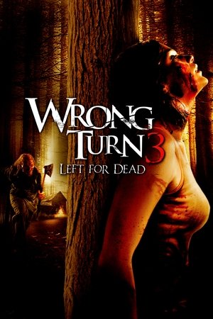 Watch Free Wrong Turn 3: Left for Dead (2009)