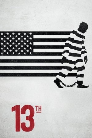 Watch Free 13th (2016)