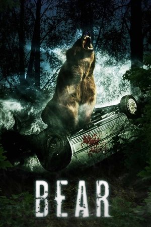 Watch Free Bear (2010)