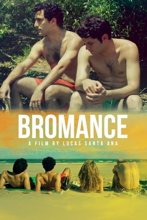 Watch Free Bromance (2016)