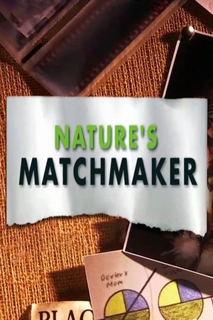 Watch Free Natures Matchmaker (2011)