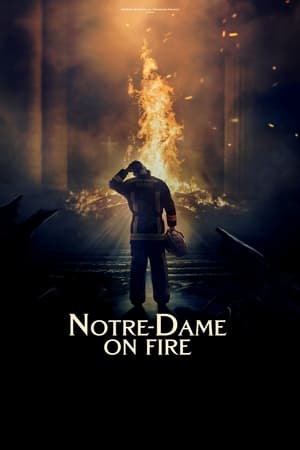 Watch Free Notre Dame brule (2022)