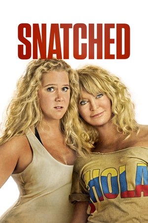 Watch Free Snatched (2017)