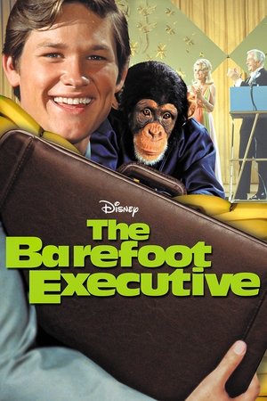 Watch Free The Barefoot Executive (1971)