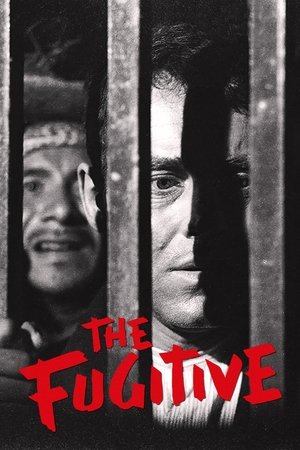 Watch Free The Fugitive (1947)
